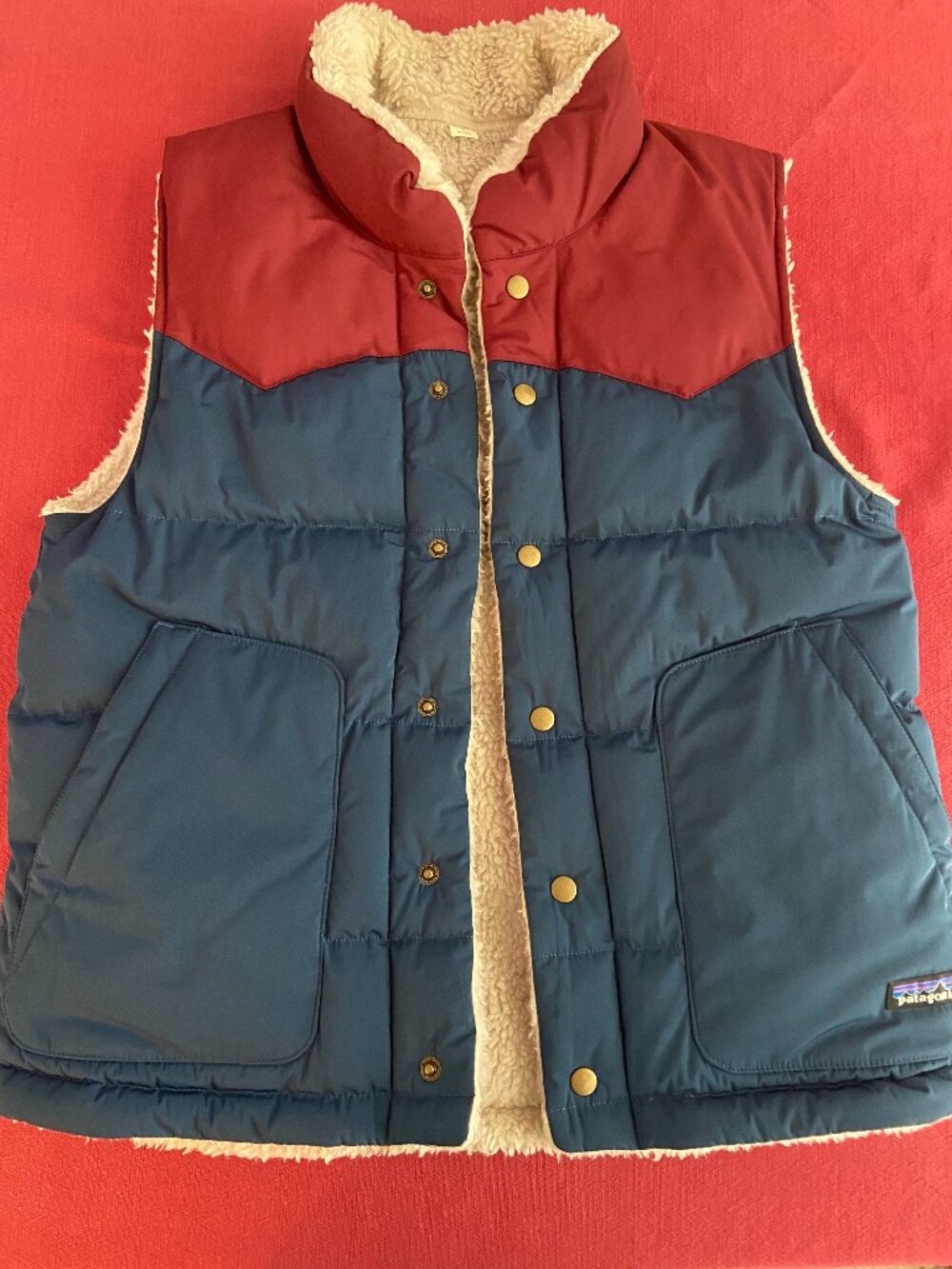 Patagonia Men's Down Vest